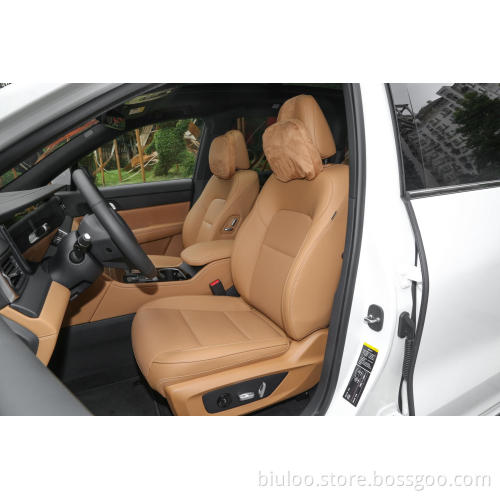 2022 New Energy Electric Car Hot Sale الرائدة في سيارة الدفع الرباعي المثالية للسيارة EV/سيارة فائقة Range 188km Li Xiang One